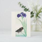 Waterhoots en Iris Painting door Ohara Koson Briefkaart (Staand voorkant)