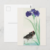 Waterhoots en Iris Painting door Ohara Koson Briefkaart (Voorkant / Achterkant)