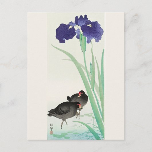 Waterhoots en Iris Painting door Ohara Koson Briefkaart (Voorkant)