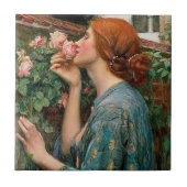 Waterhuis De sol van de Roos Tile Tegeltje (Voorkant)