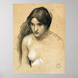 Waterhuis - Hylas en de nymfen (onderzoek) Poster