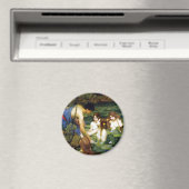 Waterhuis Hylas en de Nymphs Magnet (Insitu (Vaatwasser))