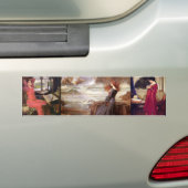 Waterhuismythen Bumpersticker (Op auto)
