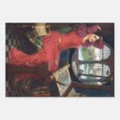  waterhuisvrouwen ontkoppelen pakpapier inpakpapier vel (Voorkant 2)