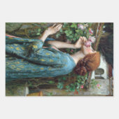  waterhuisvrouwen ontkoppelen pakpapier inpakpapier vel (Voorkant)