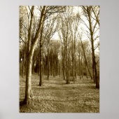 Waterhuizen Wood Poster (Voorkant)