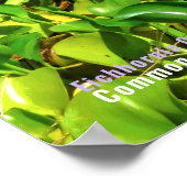 Waterhyacint Poster (Hoek)