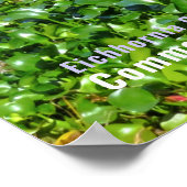 Waterhyacint Poster (Hoek)