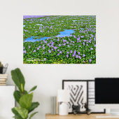 Waterhyacint Poster (Thuiskantoor)