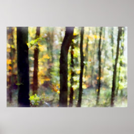 Waterige Bossen Poster