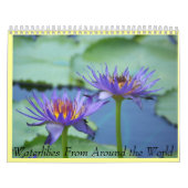 waterkalender kalender (Hoes)