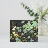 waterklaver briefkaart (Staand voorkant)