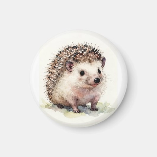 Waterkleur Egel Magneet (Voorkant)