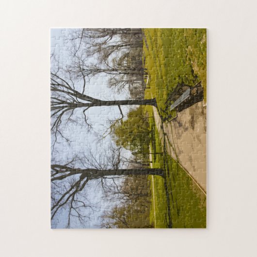 Waterkleureffect. Central Park New York. Legpuzzel (Verticaal)