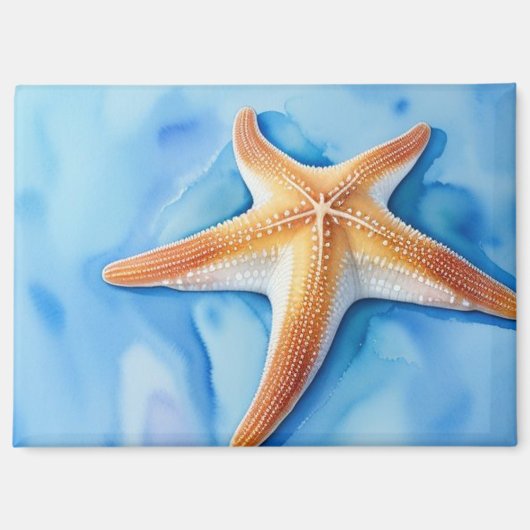 Waterkleurtekening van Zeester Magneet (Voorkant)