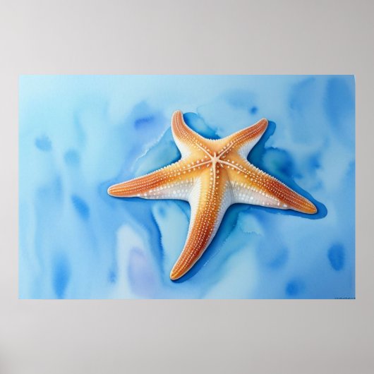 Waterkleurtekening van Zeester Poster (Voorkant)