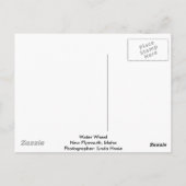 Waterkop van het Westen Briefkaart (Achterkant)