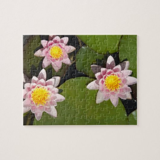 Waterleidingen Legpuzzel (Horizontaal)