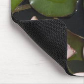 Waterleidingen Muismat (Hoek)