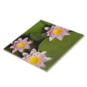 Waterleidingen Tegeltje (Zijkant)