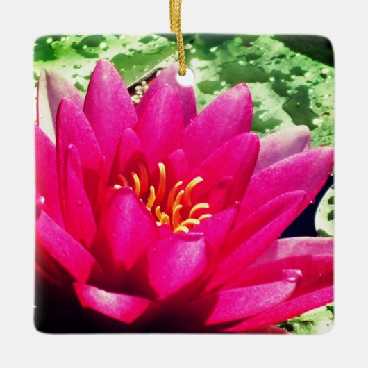 Waterlelenbloem Keramisch Ornament (Voorkant)