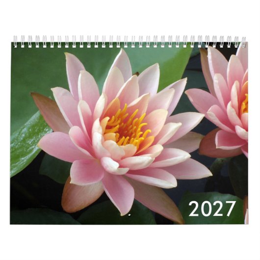 Waterlelenderkalender 2027 kalender (Hoes)