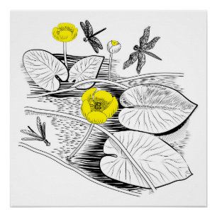 Waterlelengraving Poster