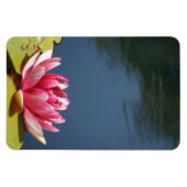 Waterlelie Bloemen Magneet (Horizontaal)