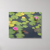 Waterlelie Bloemen Schilderen Canvas Afdruk (Voorkant)