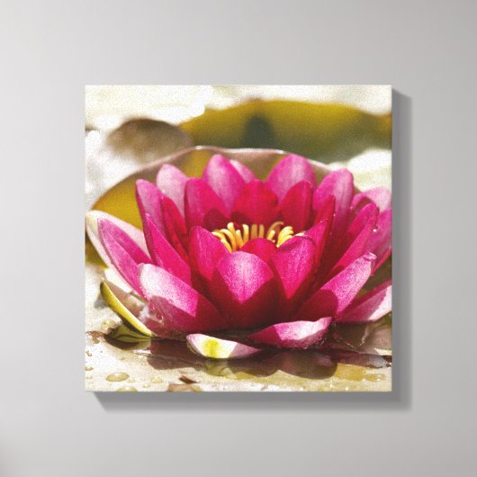 Waterlelie Canvas Afdruk (Voorkant)