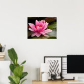 Waterlelie Canvasprint Poster (Thuiskantoor)