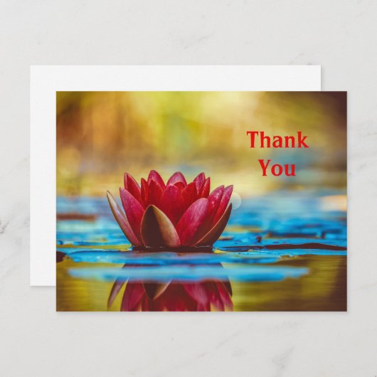 Waterlelie Dank je Postkaart (Voorkant / Achterkant)