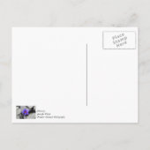 Waterlelie Dankkaart Briefkaart (Achterkant)
