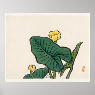 Waterlelie door Kono Bairei (1844-1895) Poster