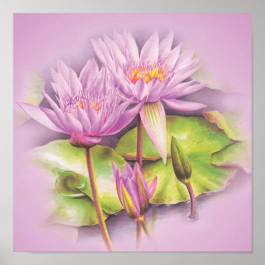 Waterlelie fijnkunst botanische posterprint poster (Voorkant)