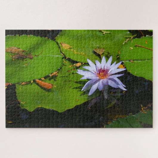 Waterlelie Foto Legpuzzel (Horizontaal)