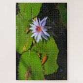 Waterlelie Foto Legpuzzel (Verticaal)