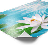 Waterlelie Fotoprint Foto Afdruk (Hoek)