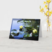 Waterlelie geel kaart (Gele Bloem)