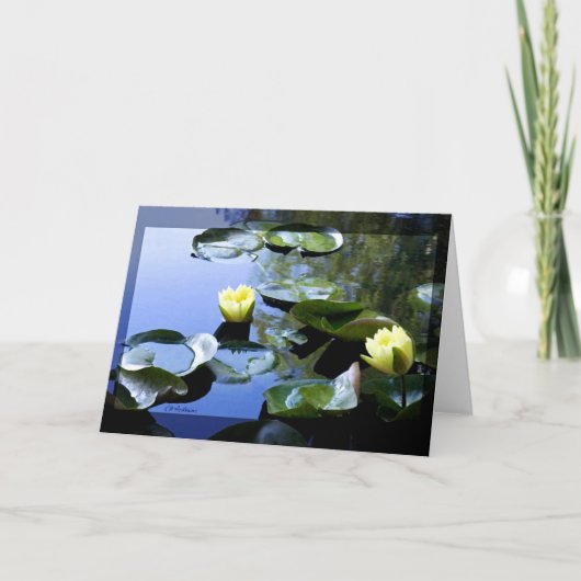 Waterlelie geel kaart (Voorkant)