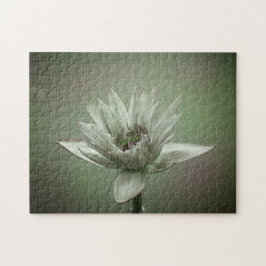 Waterlelie groene toon puzzel