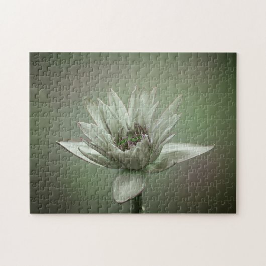 Waterlelie groene toon puzzel (Horizontaal)