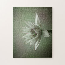 Waterlelie groene toon puzzel