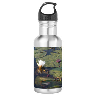 Waterlelie in bloei waterfles