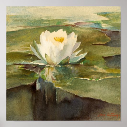 Waterlelie in zonlicht | John La Farge Poster (Voorkant)