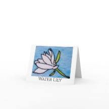 Waterlelie
