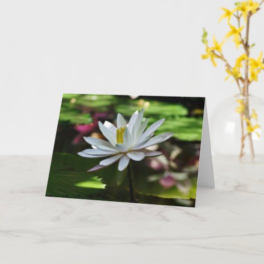 Waterlelie - Lege Kaart (Gele Bloem)