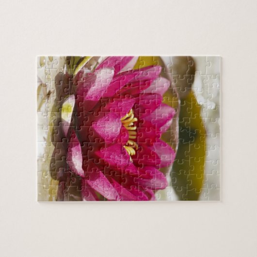 Waterlelie Legpuzzel (Horizontaal)