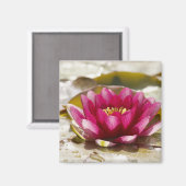 Waterlelie Magneet (Voorkant / Achterkant)