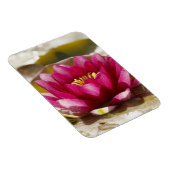 Waterlelie Magneet (Rechterzijde)